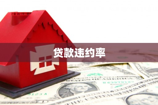 松江贷款违约率