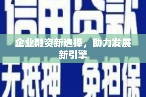 松江企业融资新选择，助力发展新引擎