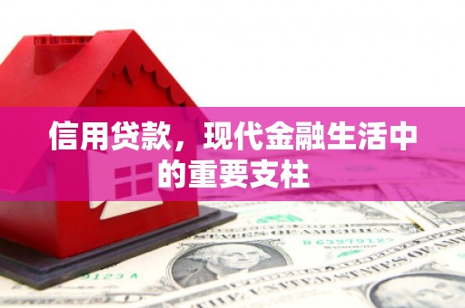 松江信用贷款，现代金融生活中的重要支柱