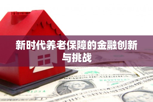 松江新时代养老保障的金融创新与挑战