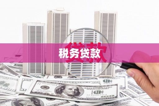 松江税务贷款