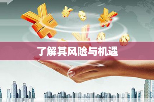 松江了解其风险与机遇