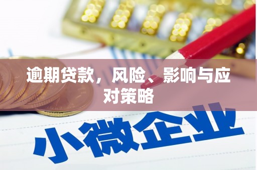 松江逾期贷款，风险、影响与应对策略