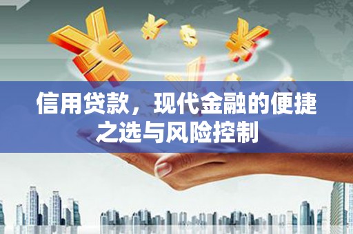 松江信用贷款，现代金融的便捷之选与风险控制