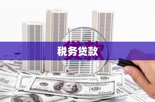 松江税务贷款