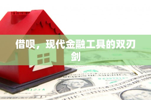 松江借呗，现代金融工具的双刃剑