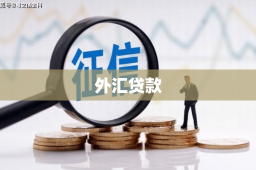 松江外汇贷款