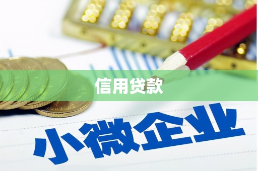 松江信用贷款
