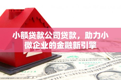 松江小额贷款公司贷款，助力小微企业的金融新引擎