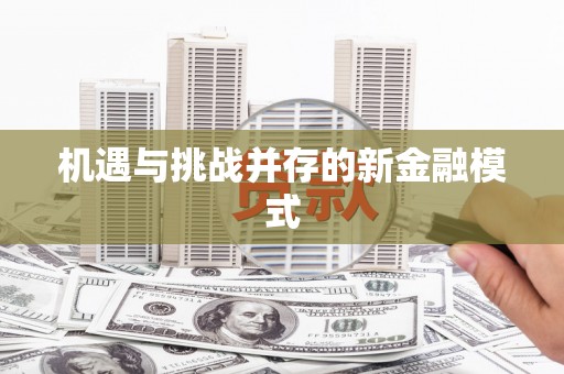 松江机遇与挑战并存的新金融模式
