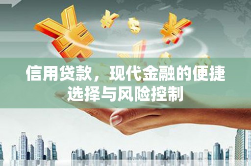 松江信用贷款，现代金融的便捷选择与风险控制