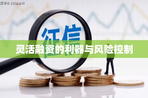 松江灵活融资的利器与风险控制