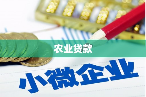 松江农业贷款