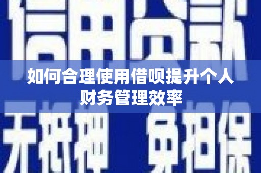松江如何合理使用借呗提升个人财务管理效率
