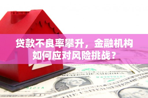 松江贷款不良率攀升，金融机构如何应对风险挑战？