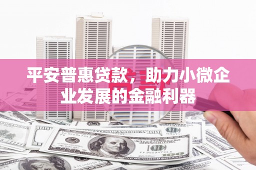 松江平安普惠贷款，助力小微企业发展的金融利器