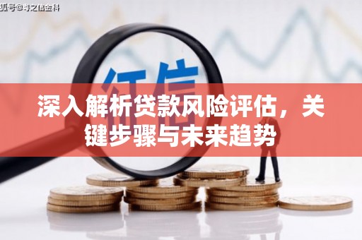 松江深入解析贷款风险评估，关键步骤与未来趋势