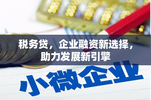 松江税务贷，企业融资新选择，助力发展新引擎