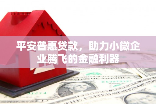 松江平安普惠贷款，助力小微企业腾飞的金融利器