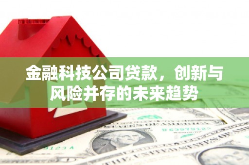 松江金融科技公司贷款，创新与风险并存的未来趋势
