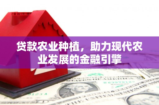 松江贷款农业种植，助力现代农业发展的金融引擎