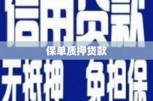 松江保单质押贷款