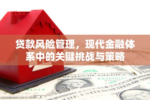 松江贷款风险管理，现代金融体系中的关键挑战与策略