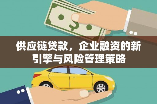 松江供应链贷款，企业融资的新引擎与风险管理策略