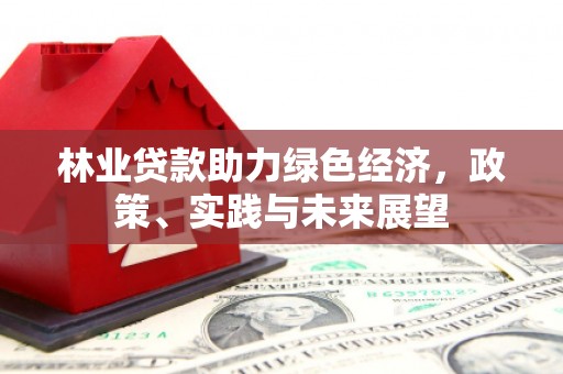松江林业贷款助力绿色经济，政策、实践与未来展望