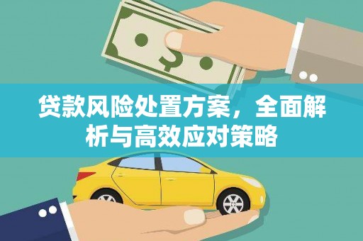 松江贷款风险处置方案，全面解析与高效应对策略