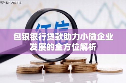 松江包银银行贷款助力小微企业发展的全方位解析