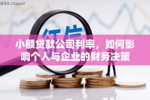 松江小额贷款公司利率，如何影响个人与企业的财务决策