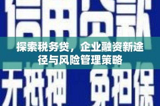 松江探索税务贷，企业融资新途径与风险管理策略