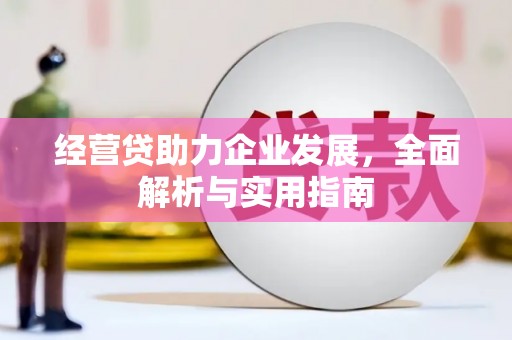 松江经营贷助力企业发展，全面解析与实用指南