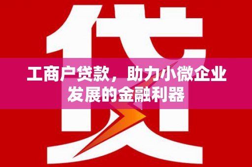 松江工商户贷款，助力小微企业发展的金融利器