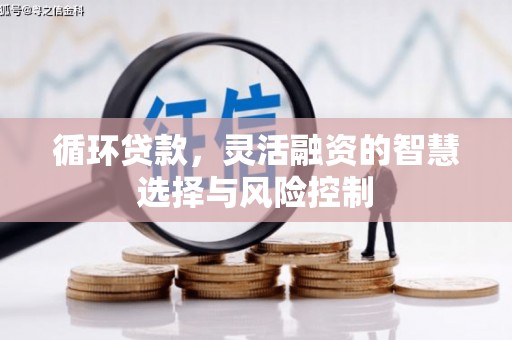 松江循环贷款，灵活融资的智慧选择与风险控制