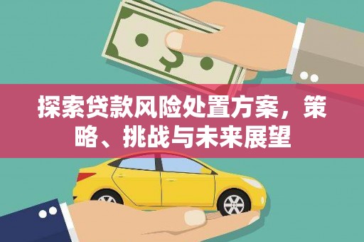 松江探索贷款风险处置方案，策略、挑战与未来展望