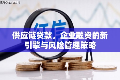 松江供应链贷款，企业融资的新引擎与风险管理策略