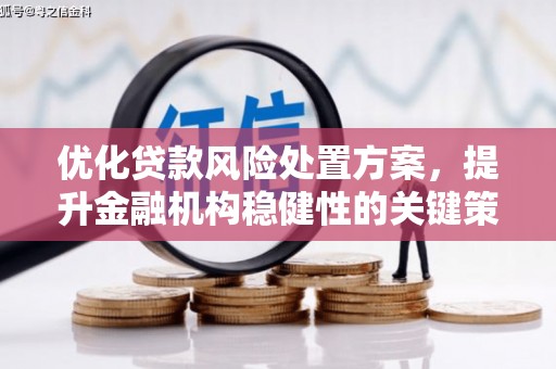 松江优化贷款风险处置方案，提升金融机构稳健性的关键策略
