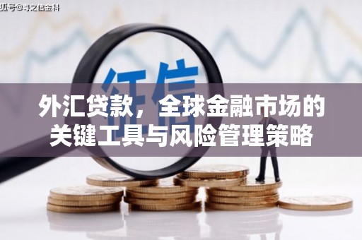 松江外汇贷款，全球金融市场的关键工具与风险管理策略