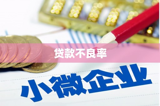 松江贷款不良率