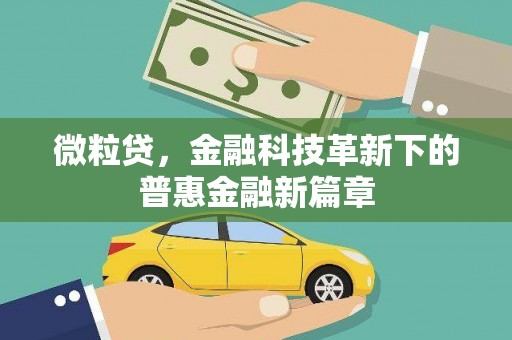 松江微粒贷，金融科技革新下的普惠金融新篇章