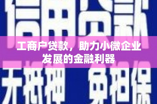 松江工商户贷款，助力小微企业发展的金融利器