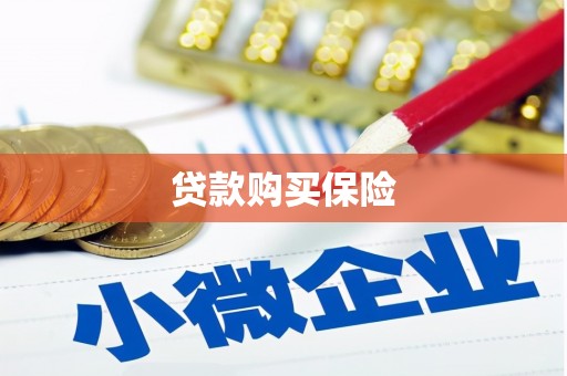 松江贷款购买保险
