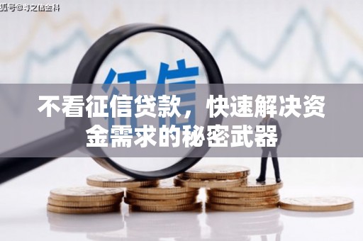 松江不看征信贷款，快速解决资金需求的秘密武器