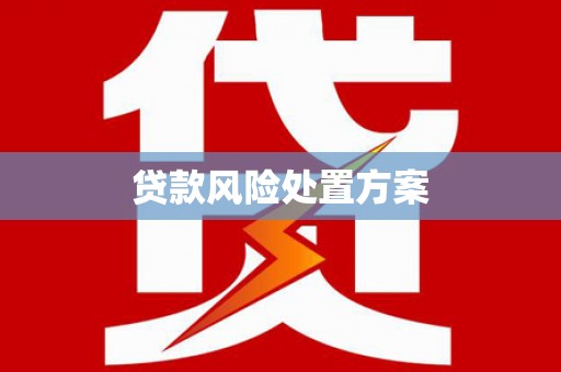 松江贷款风险处置方案