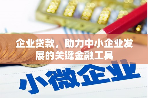 松江企业贷款，助力中小企业发展的关键金融工具
