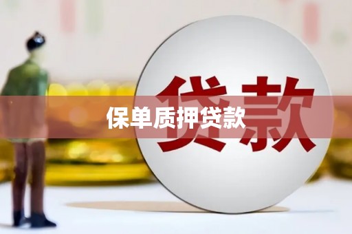 松江保单质押贷款