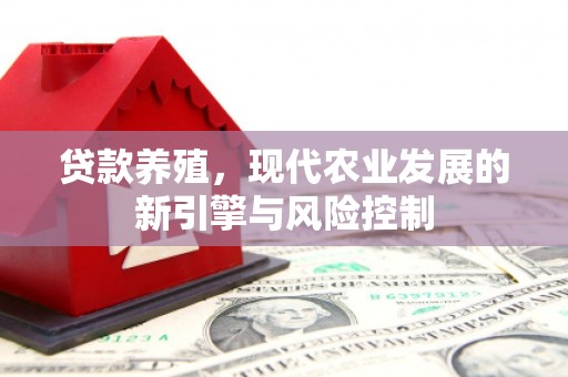 松江贷款养殖，现代农业发展的新引擎与风险控制