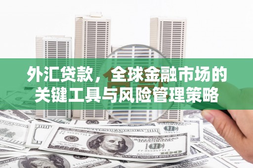 松江外汇贷款，全球金融市场的关键工具与风险管理策略